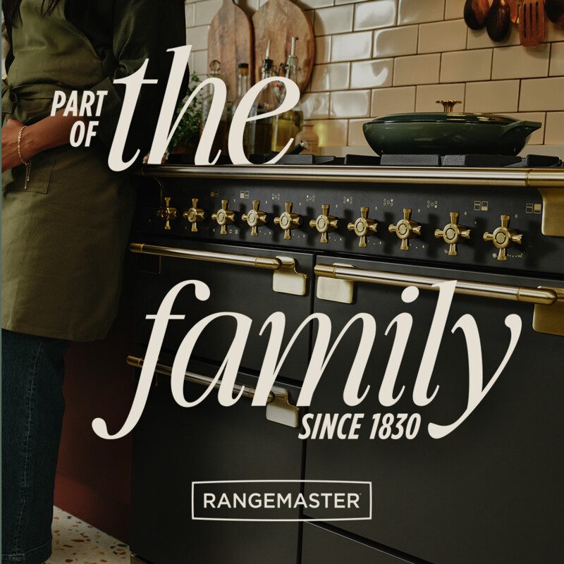 Rangemaster Elise Luxe 110cm Dual Fuel Range Cooker With Antique Brass Trim ELS110DFFSL/AB – Slate